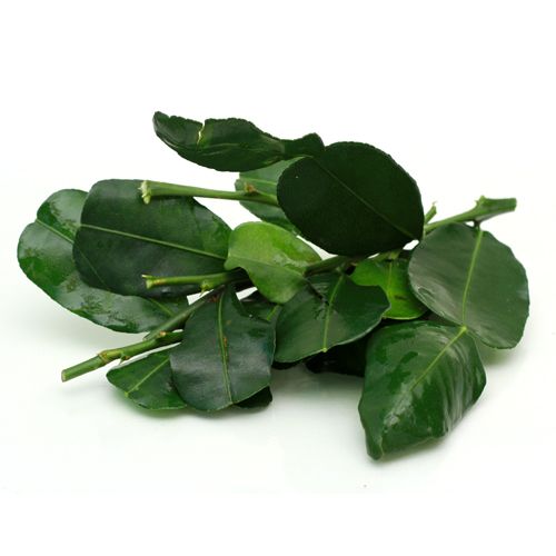 Kaafir Thai Lime Leaves - 100 gms